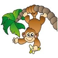 Cartoon Girl Monkey Clip Art N4
