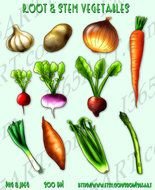 Stem Vegetables
