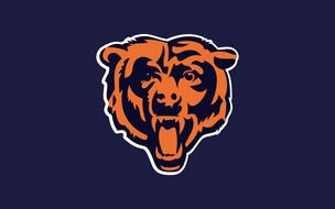 bear head on dark blue background