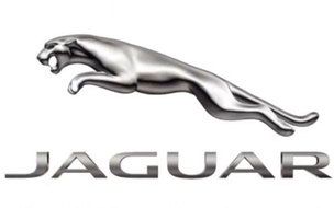 Jaguar Car Logo drawing