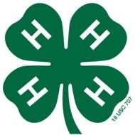 4 H Clover Clip Art N4