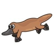 Platypus Clip Art N2