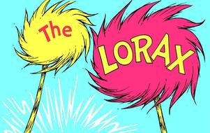 Dr Seuss Lorax Book drawing