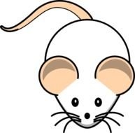 Rat Clip Art N4