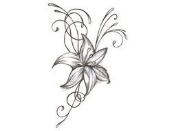 Flower Drawings