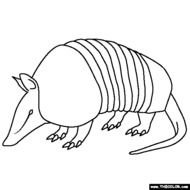 Armadillo Coloring Page