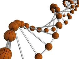 basketball strings