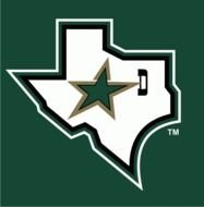 Dallas Stars Team Logo