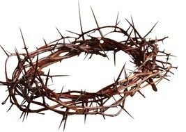 Jesus Crown Of Thorns drawing