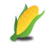 Corn Cob Clip Art