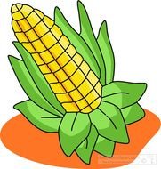 Corn Field Clip Art N7