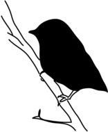 Bird On Branch Silhouette drawing