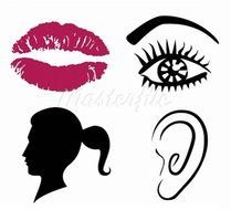 Eyebrow Clip Art N4