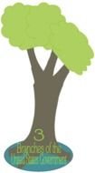 Government Branches tree drawing