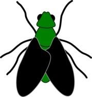 Fly Clip Art N8