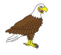 Eagle bird Clip Art
