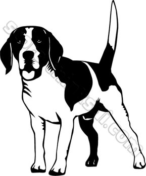 Beagle Clip Art N7