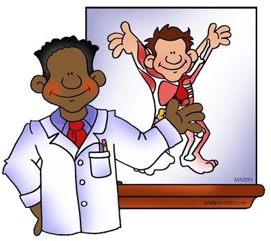 Human Body Systems