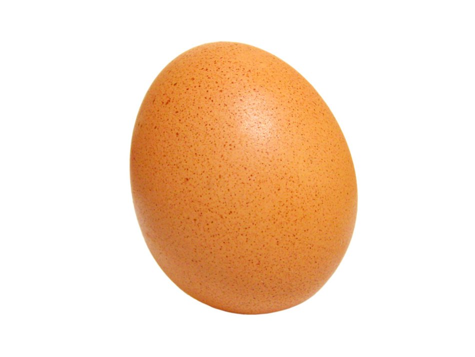 Egg as picture for clipart