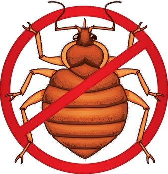 Bed Bug Clip Art N3