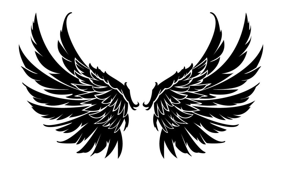 Skull With Wings drawing