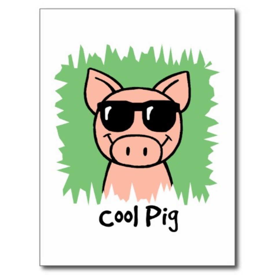 Pig With Sunglasses Clip Art