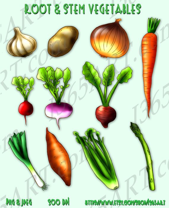 Stem Vegetables