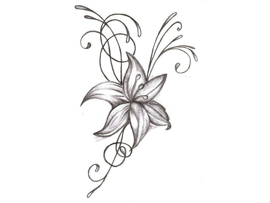 Flower Drawings