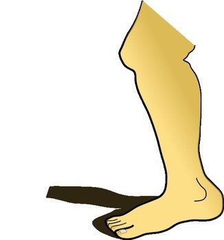 Cartoon Leg Clip Art N11