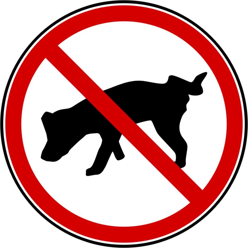 Dog No Peeing By Pesasa A Sign Saying Dogs Here