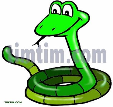 Snake Drawings