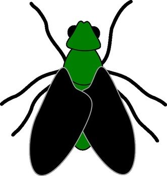 Fly Clip Art N8