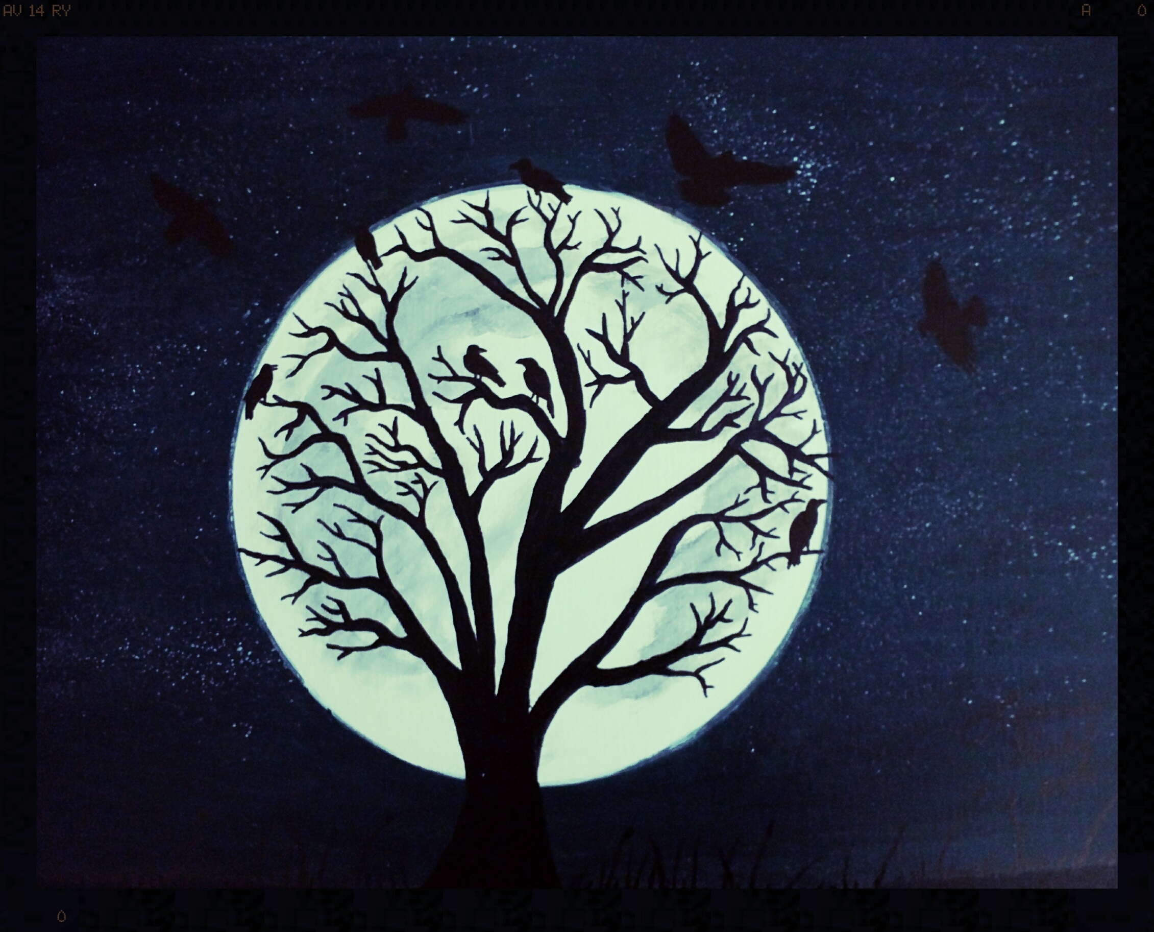 Дерево день ночь. Силуэт дерева. Дерево на фоне Луны. Дерево на фоне Луны силуэт. Ночь дерево Луна.