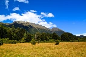 mountains grass nature sky blue