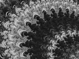 swirl of black and white