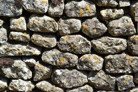 wall stones stone lichen