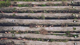 wood texture floor planks brown