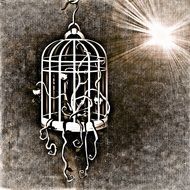 plant in the bird cage