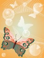 butterfly insect orange background