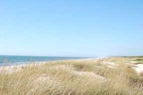 dunes dune ocean sea beach