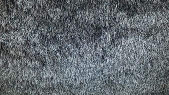 carpet background backdrop textured