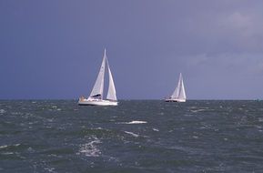 sailing vessels in the sea