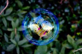 soap bubble with iridescent surface