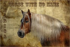 horse texture font background