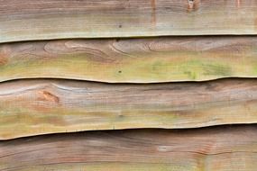 wood wooden grain texture