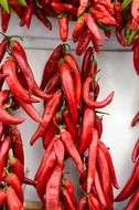 red chili peppers fruits ripe