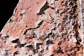 rust rusty metal background