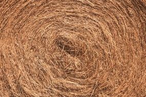 hay ball texture