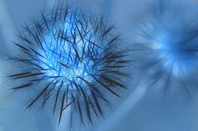 blue background with prickly flowers