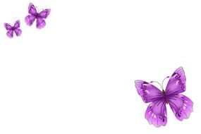 butterflies postkartenmotiv